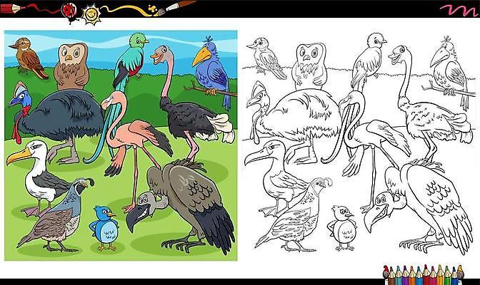 EPS 해외이미지 클립아트 동물 캐릭터 교육 행복 야생동물 어린이 일러스트 조류 흑백 그래픽 책 컬러풀 유치원 그룹 어플리케이션 만화 수집 그림 페인트붓 부엉이 페이지 문제집 메추리 색칠공부 해외일러스트 일러캐릭터 감정 컬러 촬영기법 사람 학습 붓 색칠 파일형식 벡터 이미지허브