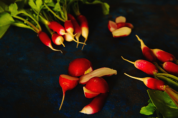 포토 JPG 해외이미지 식물 배너 음식 백그라운드 꽃무늬 농업 다이어트 채소 재료 자연 건강 사람없음 빨간색 초록색 파란색 컬러풀 정원 봄 활발 수확 벚꽃 시골 신선 그룹 우아함 다발 먹기 보따리 유기농 파란배경 머리위 성분 국산 내추럴 바이오 채식주의자 총각무 미니멀리스트 비건 해외포토 웰빙 계절 꽃 산업 컬러 컨셉 무늬 모션 무 생태계 채식 파일형식 이미지허브