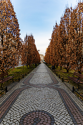 포토 JPG 해외이미지 나무 계절 공원 유럽 도로 길 여행 벤치 자연 하늘 사람없음 야외 초록색 컬러풀 환경 정원 보행로 숲 오솔길 폴란드 내추럴 방법 해외포토 식물 공공시설 나라 컬러 의자 교통시설 생태계 파일형식 이미지허브