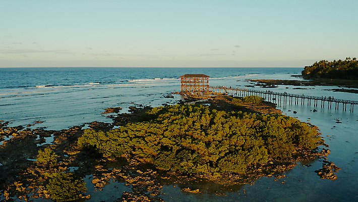 포토 JPG 해외이미지 나무 아시아 스포츠 파도 바다 섬 여행 포즈 휴가 사람 사람없음 야외 물 맑음 일몰 만 서핑 암초 서퍼 라이더 조감도 파라다이스 해외포토 자연요소 식물 나라 날씨 운동선수 노을 수상스포츠 파일형식 이미지허브