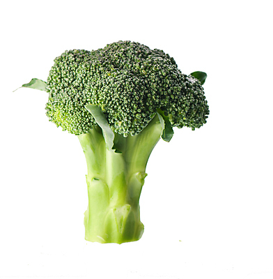 포토 JPG 해외이미지 사람없음 신선 브로콜리 해외포토 채소 파일형식 이미지허브