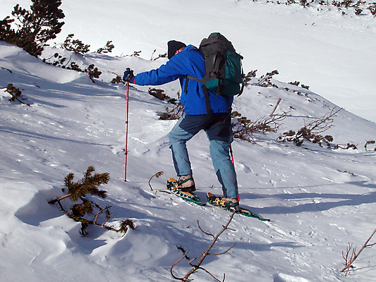 포토 JPG 해외이미지 주간 전신 남자 겨울 배낭 휴식 산 한명 성인 야외 옆모습 걷기 등산 하이킹 추위 잡기 서리 알프스 폴 설피 눈내림 성인남자한명만 겨울풍경 설산 해외포토 자연요소 1 계절 유럽 뷰포인트 컨셉 가방 모션 레저 눈_날씨 사람 풍경 트래킹 스키용품 남자한명만 성인남자만 파일형식 이미지허브