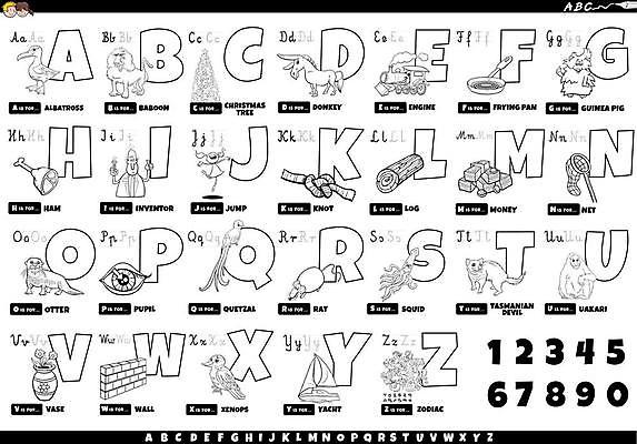 EPS 해외이미지 알파벳 영어 교육 일러스트 타이포그라피 사람없음 여러개 해외일러스트 문자 다수 파일형식 벡터 이미지허브