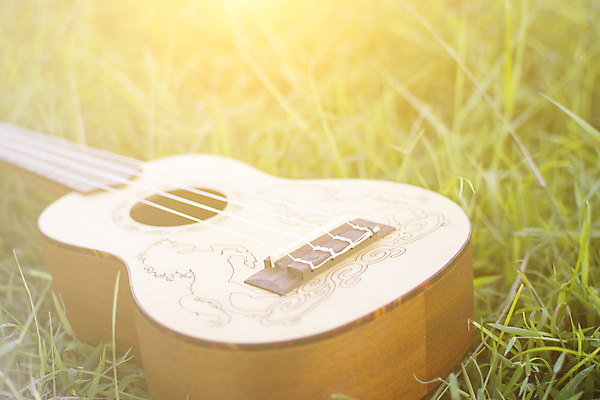 포토 JPG 해외이미지 모양 전통 행복 문화 음악 백그라운드 컨셉 밭 노래 자연 놀이 휴식 취미 사람없음 야외 목재 초록색 빛 갈색 소리 봄 음악가 수확 흰색 기구 기타 클래식 닫기 작음 묘사 오브젝트 부드러움 고립 뮤지컬 스타일 해외포토 나무 직업 계절 감정 컬러 농업 재료 모션 현악기 문화예술 감각 크기 생태계 파일형식 이미지허브