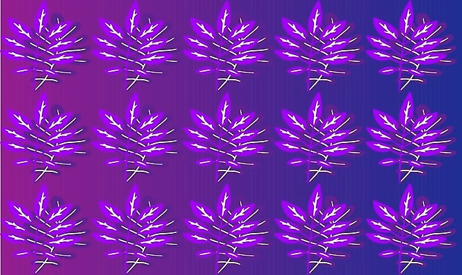 EPS 해외이미지 식물 디자인 계절 꽃 꽃다발 백그라운드 잎 크리스마스 겨울 꽃무늬 패턴 일러스트 자연 벽지 추상 휴가 수채화 새로움 미술 그래픽 장식 여름 파란색 빛 컬러풀 유행 디지털 정원 봄 수확 축하 직물 신용카드 인쇄 12월 연도 그림 질감 복고 마법 스타일 해외일러스트 기념일 컬러 컨셉 무늬 농업 문화예술 금융 날짜 생태계 파일형식 벡터 이미지허브