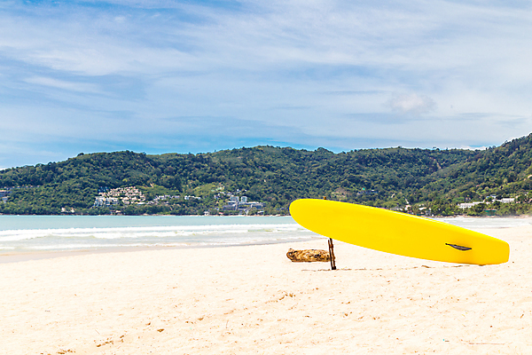 포토 JPG 해외이미지 나무 라이프스타일 모래 스포츠 파도 바다 섬 여행 백그라운드 자연 하늘 휴가 휴식 손바닥 풍경 해변 사람없음 야외 여름 파란색 햇빛 태양 노란색 맑음 일몰 수확 서핑보드 서핑 휴양지 복고 코코넛 서퍼 옛날 파라다이스 해외포토 자연요소 식물 손 계절 컬러 컨셉 농업 과일 날씨 운동선수 생활 노을 장소 수상스포츠 보드_스포츠 생태계 파일형식 이미지허브