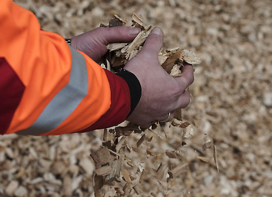 포토 JPG 해외이미지 사람없음 재활용 에너지 그린에너지 숲 장작 생태계 연료 난방 유지 해외포토 친환경 파일형식 이미지허브