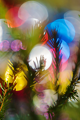 포토 JPG 해외이미지 나무 실루엣 백그라운드 컨셉 크리스마스장식 크리스마스 패턴 공 추상 휴가 기념 사람없음 아웃포커스 장식 빨간색 초록색 파란색 빛 컬러풀 크리스마스트리 노란색 축제 수확 나뭇가지 축하 소나무 황금 소프트포커스 질감 보케 해피뉴이어 전나무 광 블러 여의주 가문비나무 해외포토 식물 기념일 컬러 무늬 농업 촬영기법 새해인사 파일형식 이미지허브