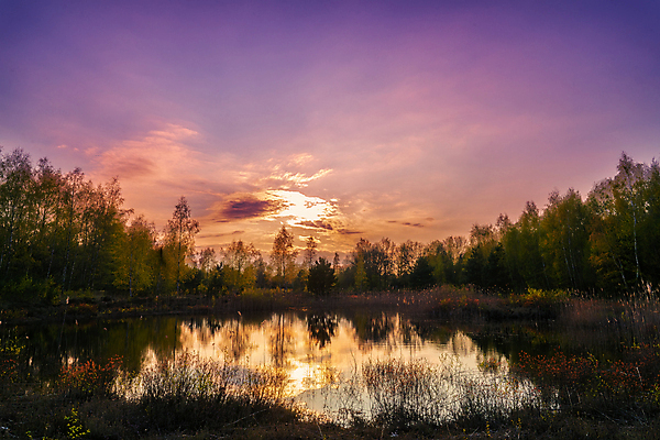 포토 JPG 해외이미지 실루엣 지구 엄마 불 사람없음 가로 컬러풀 반사 평화 일출 보라색 어둠 화목 황혼 새벽 활발 할로윈 흐름 안개 달력 죽음 변화 황금 호주 신비 시원함 필름 에코 상승 마법 땅바닥 블러 이혼 조감도 혼자 해외포토 자연요소 컬러 컨셉 가족 날씨 바닥 촬영기법 노을 환경 일몰 오세아니아 파일형식 이미지허브