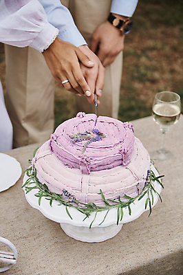 포토 JPG 해외이미지 손 결혼 와인잔 신체부위 로맨틱 나이프 자르기 웨딩케이크 커팅식 스몰웨딩 해외포토 식기 컨셉 술잔 모션 사람 이벤트 케이크 칼 파일형식 이미지허브