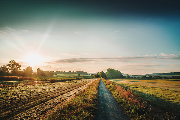 포토 JPG 해외이미지 나무 식물 계절 공원 길 백그라운드 잎 오렌지 자연 따뜻함 사람없음 야외 목재 빨간색 초록색 빛 햇빛 태양 뷰티 갈색 노란색 환경 맑음 하이킹 추위 안개 광선 시골 신선 황금 숲 오솔길 장면 방법 해외포토 자연요소 공공시설 컬러 과일 재료 레저 날씨 생태계 파일형식 이미지허브