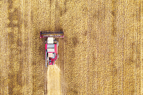 포토 JPG 해외이미지 산업 백그라운드 밭 농업 자연 안테나 사람없음 경제 농작물 농장 노란색 기계 수확 시골 볏짚 정상 저녁 결합 낟알 시리얼 밀 보리 장면 트랙터 밀짚 밭일 생태학 호밀 해외포토 교육 음식 컬러 통신 곡류 짚 야간 농기계 생태계 특수차량 파일형식 이미지허브