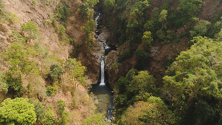 포토 JPG 해외이미지 나무 식물 아시아 여행 잎 자연 산 손바닥 사람없음 야외 목재 초록색 물 환경 폭포 숲 열대우림 인도네시아 조감도 해외포토 자연요소 손 나라 컬러 재료 생태계 파일형식 이미지허브