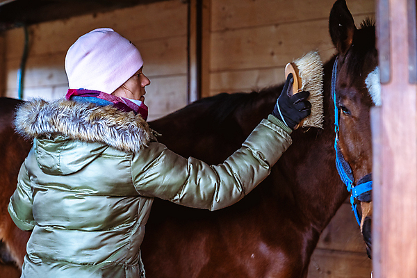 포토 JPG 해외이미지 동물 전통 손 여자 포유류 초식동물 주택 관리 사랑 한명 서기 사람 성인 반려동물 농장 갈색 건강관리 목장 도구 공구 시골 붓 업무 승마 닫기 청소 꼬리 몸단장 유지 숨김 돌봄 조작 해외포토 1 감정 스포츠 컬러 컨셉 농업 모션 건강 건물 신체부위 작업 파일형식 이미지허브