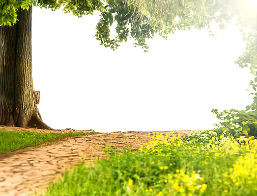 포토 JPG 해외이미지 나무 식물 꽃 길 백그라운드 컨셉 잎 자국 자연 건조 매달리기 잔디 사람없음 야외 초록색 뷰티 갈색 노란색 우주 환경 정원 침묵 벚꽃 흰색 나뭇가지 균열 숲 큼 땅 유기농 내추럴 땅바닥 생태학 선로 카피스페이스 해외포토 웰빙 교육 컬러 모션 바닥 소리 공백 크기 생태계 파일형식 이미지허브