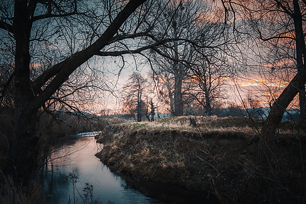 포토 JPG 해외이미지 나무 식물 계절 잎 벤치 자연 아침 날씨 휴가 휴식 그림자 사람없음 야외 목재 초록색 물 빛 강 햇빛 태양 뷰티 노란색 평화 환경 맑음 침묵 일몰 안개 광선 시골 저녁 숲 뿌리 땅바닥 해외포토 주간 자연요소 컬러 컨셉 의자 재료 바닥 노을 소리 야간 생태계 파일형식 이미지허브