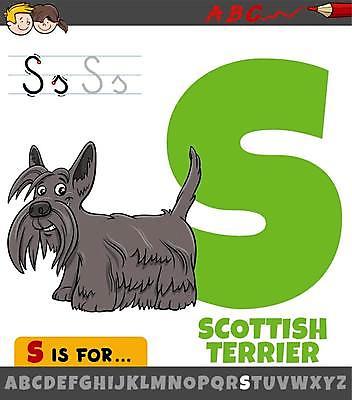EPS 해외이미지 한마리 알파벳 영어 여자 교육 남자 얼굴 어린이 일러스트 색연필 영어교육 소년 타이포그라피 두명 연두색 S 스코티시테리어 어린이만 해외일러스트 문자 1 학용품 사람 신체부위 초록색 테리어 파일형식 벡터 이미지허브