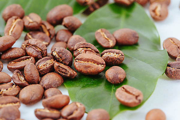 포토 JPG 해외이미지 커피 음식 백그라운드 재료 아침 콩 씨앗 사람없음 농작물 갈색 어둠 신선 굽기 질감 결 에스프레소 모카 아라비카 카페인 해외포토 주간 식물 음료 컬러 무늬 농업 곡류 구이 파일형식 이미지허브