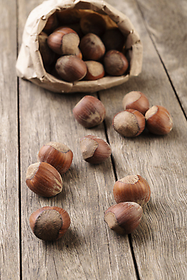 포토 JPG 해외이미지 재료 실내 사람없음 개암나무 헤이즐넛 개암 해외포토 나무 열매 내부 견과류 파일형식 이미지허브