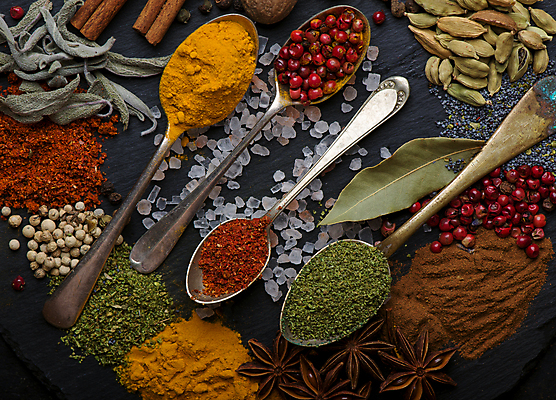 포토 JPG 해외이미지 백그라운드 건조 사람없음 숟가락 검은색 가루 허브 소금 통후추 팔각회향 해외포토 식물 컬러 수저 향신료 후추 파일형식 이미지허브