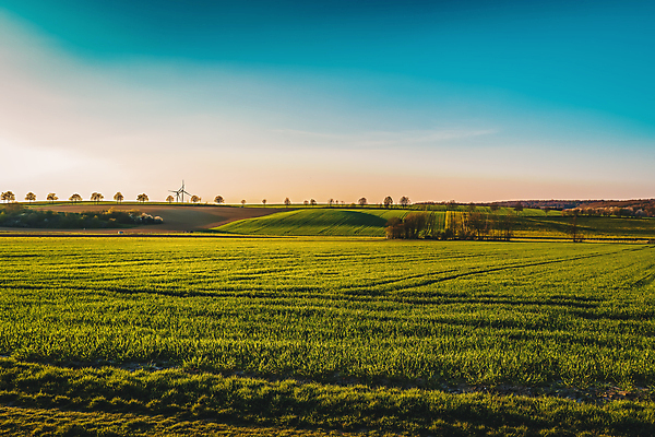 포토 JPG 해외이미지 나무 배너 계절 여행 밭 농업 자연 벽지 하늘 독일 파노라마 사람없음 초록색 파란색 컬러풀 뷰티 농장 일출 맑음 일몰 놀람 활발 광선 시골 러시아 장면 공상 마법 내추럴 관심 평야 수평선 해외포토 식물 감정 유럽 산업 컬러 컨셉 날씨 촬영기법 표정 노을 생태계 파일형식 이미지허브