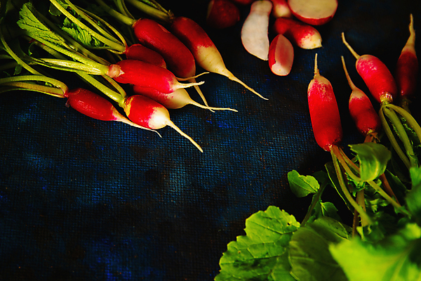 포토 JPG 해외이미지 식물 배너 음식 백그라운드 꽃무늬 농업 다이어트 채소 재료 자연 건강 사람없음 빨간색 초록색 여름 파란색 컬러풀 정원 봄 활발 수확 벚꽃 시골 신선 그룹 우아함 다발 먹기 보따리 유기농 파란배경 머리위 성분 국산 내추럴 바이오 채식주의자 총각무 미니멀리스트 비건 해외포토 웰빙 계절 꽃 산업 컬러 컨셉 무늬 모션 무 생태계 채식 파일형식 이미지허브