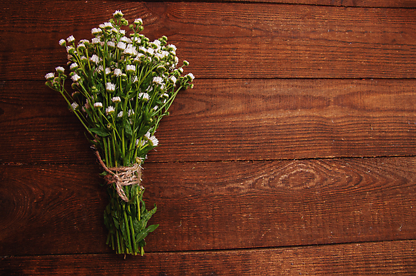 포토 JPG 해외이미지 꽃다발 실내 사람없음 축하 카피스페이스 해외포토 꽃 컨셉 내부 공백 파일형식 이미지허브