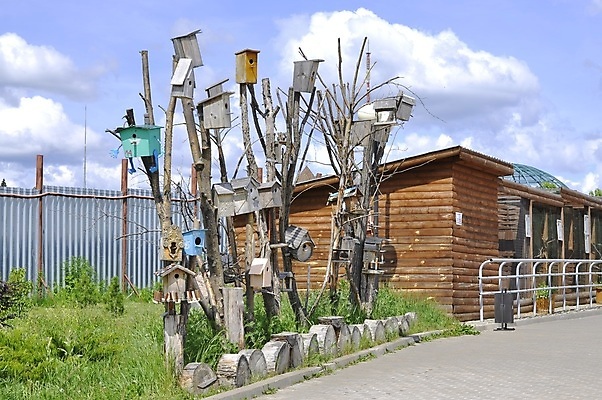 포토 JPG 해외이미지 나무 동물 계절 공원 꽃 야생동물 백그라운드 잎 자연 조류 지붕 주택 통 매달리기 사람없음 야외 목재 초록색 상자 정원 봄 벚꽃 흰색 나뭇가지 구멍 둥지 보호 숲 작음 오브젝트 질감 새장 제비 내추럴 돌봄 많음 카피스페이스 해외포토 식물 공공시설 컬러 컨셉 재료 모션 건물 공백 크기 생태계 케이지 파일형식 이미지허브