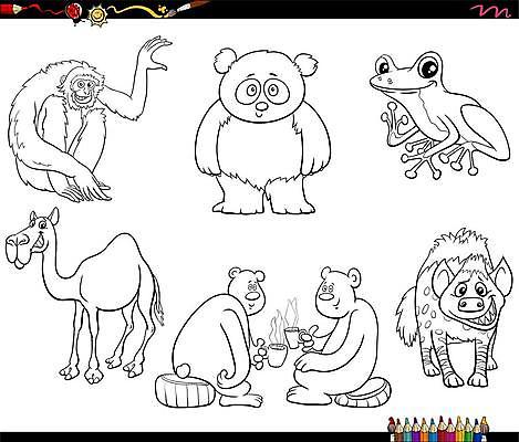 EPS 해외이미지 클립아트 동물 캐릭터 디자인 행복 음료 야생동물 일러스트 포유류 자연 동화 흑백 동물원 종류 개구리 양서류 책 세트 우정 유머 차 만화 수집 그림 낙타 페이지 공상 유인원 혹 단봉낙타 색칠공부 해외일러스트 일러캐릭터 감정 촬영기법 친구 학습 색칠 생태계 파일형식 벡터 이미지허브