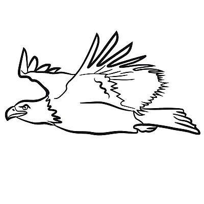 EPS 해외이미지 동물 디자인 실루엣 백그라운드 날개 일러스트 조류 미술 그래픽 검은색 미국 자유 수확 흰색 문신 심볼 그림 윤곽 독수리 육식동물 대머리 애국심 고립 마스코트 집게발 현실 해외일러스트 헤어스타일 컬러 컨셉 북아메리카 농업 문화예술 촬영기법 파일형식 벡터 이미지허브