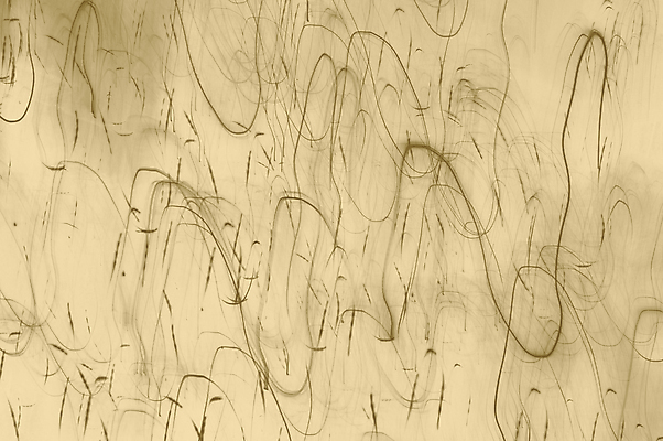 포토 JPG 해외이미지 모양 디자인 백그라운드 벽지 추상 조명 사람없음 장식 빛 반짝임 우주 놀람 기쁨 램프 축하 질감 강렬 광 블러 효과 해외포토 감정 컨셉 무늬 모션 표정 파일형식 이미지허브