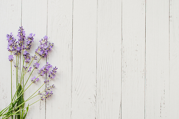 포토 JPG 해외이미지 식물 디자인 배너 꽃 꽃다발 결혼 백그라운드 잎 꽃무늬 패턴 자연 탁자 추상 프레임 사랑 미술 사람없음 목재 장식 파란색 뷰티 우주 보라색 스파 봄 수확 벚꽃 흰색 시골 신선 신용카드 다발 허브 제비꽃 질감 복고 머리위 라벤더 라일락 내추럴 구성 카피스페이스 해외포토 나무 계절 감정 컬러 가구 무늬 농업 재료 문화예술 이벤트 금융 공백 생태계 파일형식 이미지허브