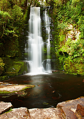 포토 JPG 해외이미지 나무 식물 호수 자연 새로움 그림자 이끼 사람없음 초록색 물 강 환경 어둠 폭포 숲 신비 열대우림 마법 깊이 생태학 양치류 해외포토 자연요소 교육 컬러 컨셉 생태계 파일형식 이미지허브