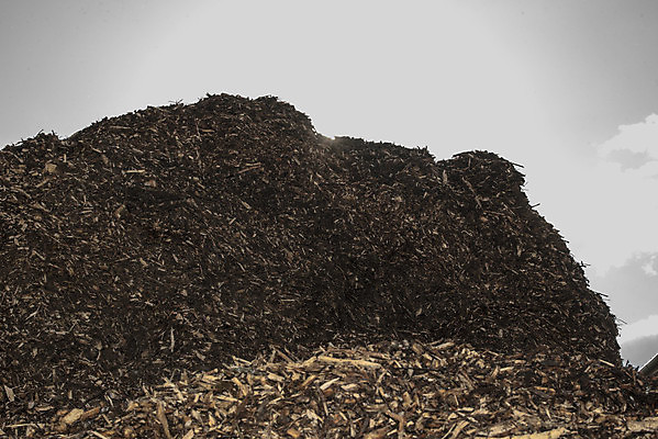 포토 JPG 해외이미지 사람없음 재활용 에너지 그린에너지 숲 장작 생태계 연료 난방 유지 해외포토 친환경 파일형식 이미지허브