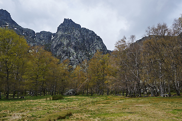 포토 JPG 해외이미지 나무 식물 공원 유럽 길 호수 잎 겨울 자연 산 사람없음 야외 목재 초록색 물 강 반사 환경 나뭇가지 연못 숲 땅 포르투갈 운하 내추럴 보호구역 삼림지대 해외포토 자연요소 계절 공공시설 나라 컬러 재료 생태계 구역 파일형식 이미지허브