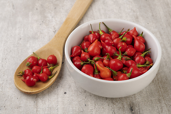 포토 JPG 해외이미지 음식 농업 채소 재료 피망 건강 요리 사람없음 빨간색 숟가락 신선 뜨거움 양념 조미료 그룹 사발 향신료 유기농 매움 향 후추 내추럴 채식주의자 해외포토 웰빙 산업 컬러 수저 사기그릇 맛 채식 향미료 파일형식 이미지허브