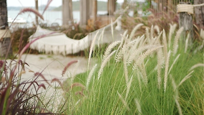 포토 JPG 해외이미지 주간 식물 공원 아시아 모래 섬 자연 휴가 휴식 매달리기 잔디 사람없음 야외 초록색 햇빛 태양 평화 정원 맑음 침묵 자유 흰색 시골 그네 주말 해먹 카피스페이스 해외포토 자연요소 공공시설 나라 컬러 컨셉 모션 날씨 소리 공백 침대 생태계 파일형식 이미지허브