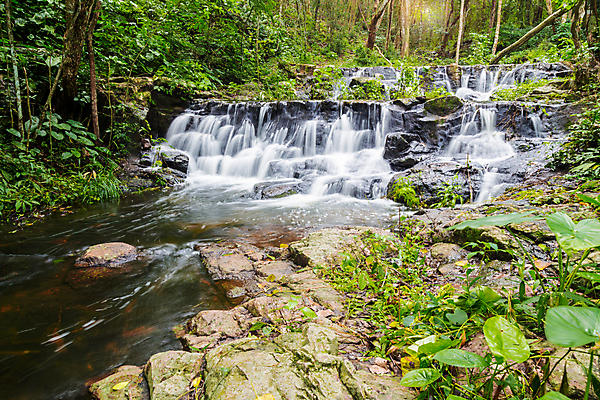포토 JPG 해외이미지 나무 식물 공원 여행 백그라운드 잎 태국 자연 휴가 휴식 산 이끼 사람없음 야외 목재 초록색 물 강 뷰티 환경 놀람 봄 폭포 흐름 성장 신선 개울 숲 작음 내추럴 전국 파라다이스 해외포토 자연요소 계절 공공시설 감정 아시아 컬러 컨셉 재료 표정 크기 생태계 파일형식 이미지허브