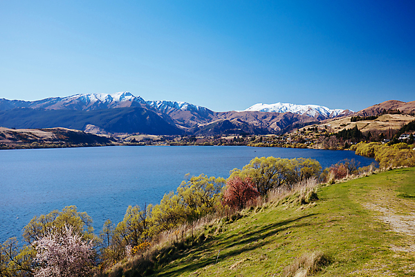 포토 JPG 해외이미지 응시 여행 건축양식 자연 산 풍경 사람없음 야외 초록색 물 강 뷰티 골짜기 맑음 봄 황무지 재산 숲 언덕 그림 뉴질랜드 장면 지역 내추럴 인기 지질학 해외포토 자연요소 시선 계절 교육 건축 컬러 날씨 금융 오세아니아 생태계 파일형식 이미지허브