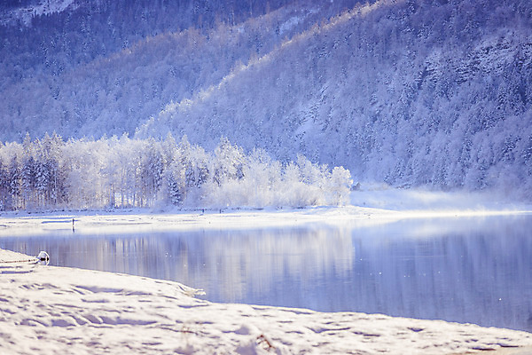 포토 JPG 해외이미지 계절 호수 여행 크리스마스 겨울 자연 날씨 휴가 산 풍경 사람없음 야외 물 햇빛 반사 놀람 농촌 시골 황무지 영혼 오스트리아 그림 알프스 1월 뿌연 웅장함 잘츠부르크 눈내림 환상 산맥 해외포토 자연요소 기념일 감정 유럽 컨셉 눈_날씨 표정 태양 날짜 생태계 파일형식 이미지허브