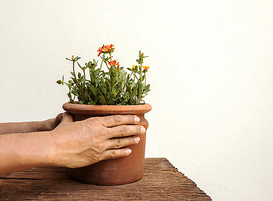 포토 JPG 해외이미지 직업 남자 노동자 웃음 사람 사람없음 트럭 업무 기술자 시스템 히스패닉 해외포토 자동차 표정 작업 파일형식 이미지허브