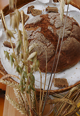 포토 JPG 해외이미지 음식 빵 건강 요리 사람없음 요식업 식사 빵집 굽기 먹기 메뉴 잔치 덩어리 제비 토막 법정 영양소 공급 해외포토 산업 모션 조류 상점 구이 파일형식 이미지허브