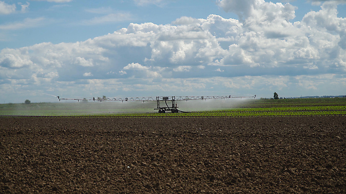 포토 JPG 해외이미지 식물 밭 농업 사람없음 초록색 물 농작물 농장 농경지 기계 샐러드 장비 성장 시골 상추 분무기 시스템 밭일 스프링쿨러 해외포토 자연요소 산업 음식 컬러 채소 파일형식 이미지허브