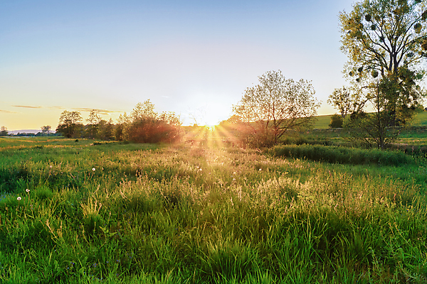 포토 JPG 해외이미지 나무 식물 계절 잎 벤치 자연 아침 날씨 휴가 휴식 그림자 사람없음 야외 목재 초록색 물 빛 강 햇빛 태양 뷰티 노란색 평화 환경 맑음 침묵 일몰 안개 광선 시골 저녁 숲 뿌리 땅바닥 해외포토 주간 자연요소 컬러 컨셉 의자 재료 바닥 노을 소리 야간 생태계 파일형식 이미지허브