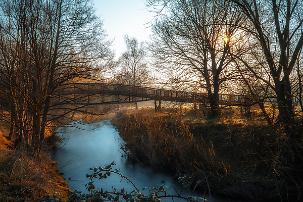 포토 JPG 해외이미지 주간 응시 단풍 잎 아침 날씨 휴식 산 파노라마 그림자 사람없음 햇빛 태양 반사 일출 침묵 카펫 흐름 안개 시간 개울 분위기 변화 매끈함 저녁 숲 편안함 그림 장면 층 천국 밭일 오리지널 혼자 회복 해외포토 자연요소 식물 시선 컨셉 촬영기법 강 노을 소리 감각 야간 파일형식 이미지허브