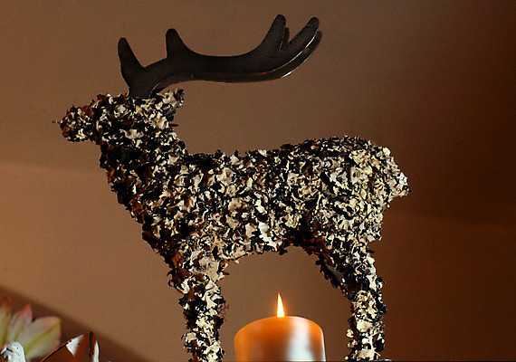 포토 JPG 해외이미지 동물 야생동물 포유류 사슴 뿔 사람없음 게임 숲 심볼 사냥 순록 해외포토 놀이 파일형식 이미지허브