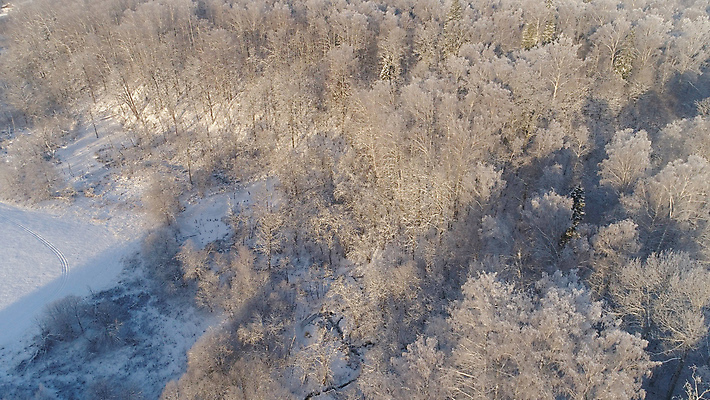 포토 JPG 해외이미지 나무 계절 겨울 자연 풍경 사람없음 목재 냉동 얼음 추위 덮개 흰색 시골 숲 시원함 서리 장면 조감도 눈내림 겨울풍경 해외포토 자연요소 식물 컬러 재료 눈_날씨 뚜껑 생태계 파일형식 이미지허브