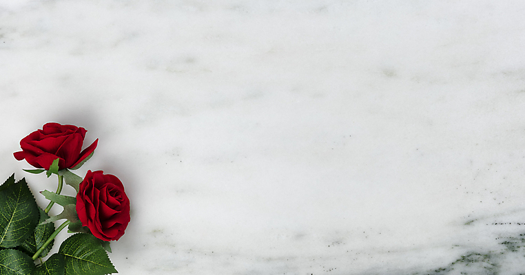 포토 JPG 해외이미지 꽃 행복 백그라운드 꽃무늬 휴가 기념 발렌타인데이 선물 사랑 사람없음 장식 빨간색 장미 대리석 카피스페이스 해외포토 식물 감정 컬러 무늬 재료 데이이벤트 공백 파일형식 이미지허브