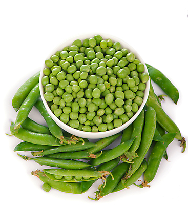 포토 JPG 해외이미지 잎 채소 콩 사람없음 초록색 농작물 쌓기 낟알 담기 완두콩 콩깍지 꼬투리 해외포토 식물 컬러 농업 모션 곡류 파일형식 이미지허브