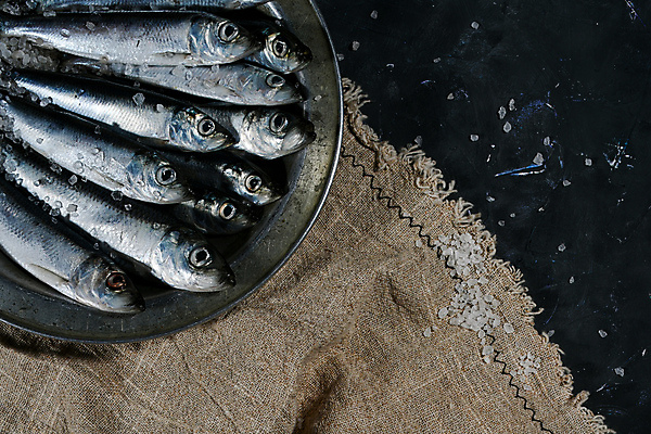 포토 JPG 해외이미지 음식 바다 백그라운드 다이어트 재료 자연 낚시 건강 어류 요리 사람없음 주방 검은색 식사 저녁식사 추위 신선 잡기 시장 은색 작음 지중해 해산물 향신료 오브젝트 날것 고등어 어장 내추럴 생식 절임 짠맛 많음 해외포토 컬러 컨셉 모션 레저 수중동물 맛 크기 생태계 향미료 파일형식 이미지허브
